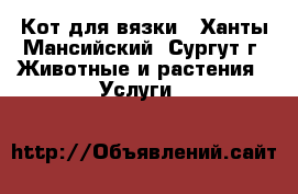 Кот для вязки - Ханты-Мансийский, Сургут г. Животные и растения » Услуги   